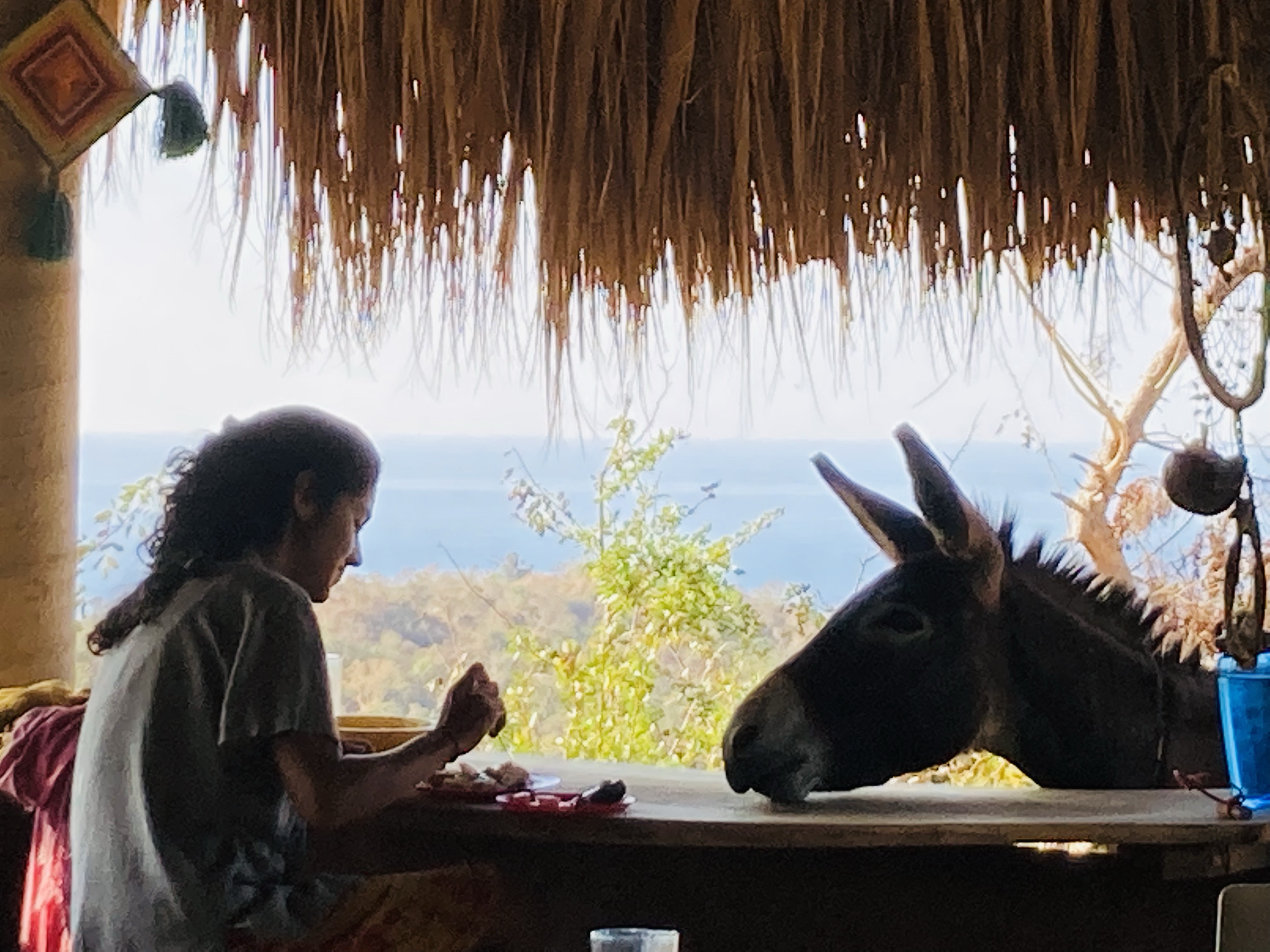 LA RANCHA – La Rancha Cultural A.C.