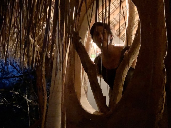 Zeta Cultural: Un Refugio para el Alma y la&nbsp;Naturaleza